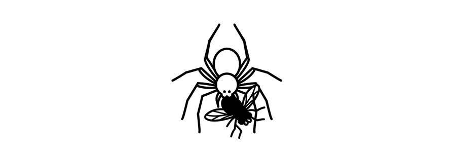 Housefly cover